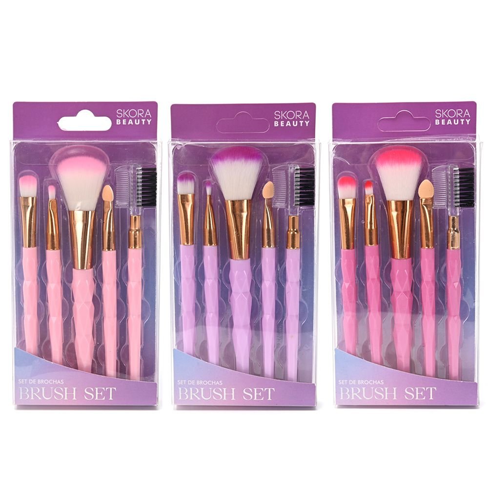 Set Brochas x 5 piezas 44019
